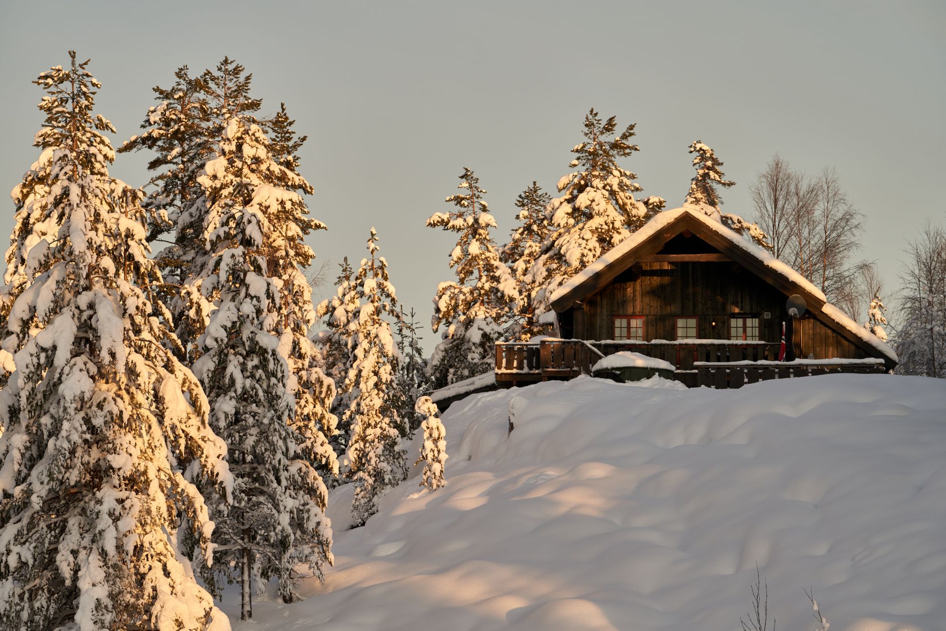 Nordic minimalist wilderness cabin