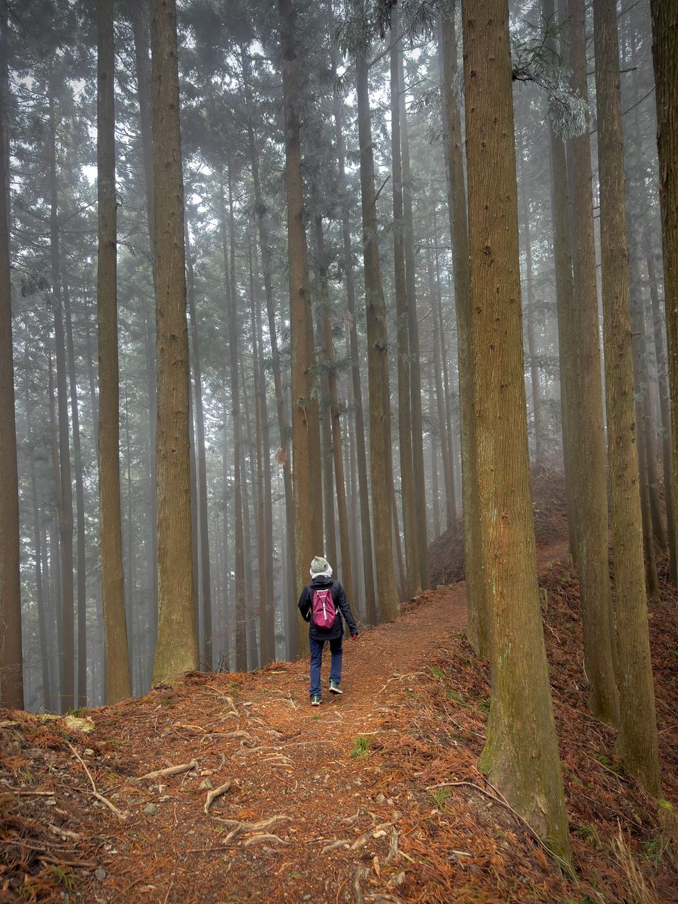 Nagano mountain cedar lodge