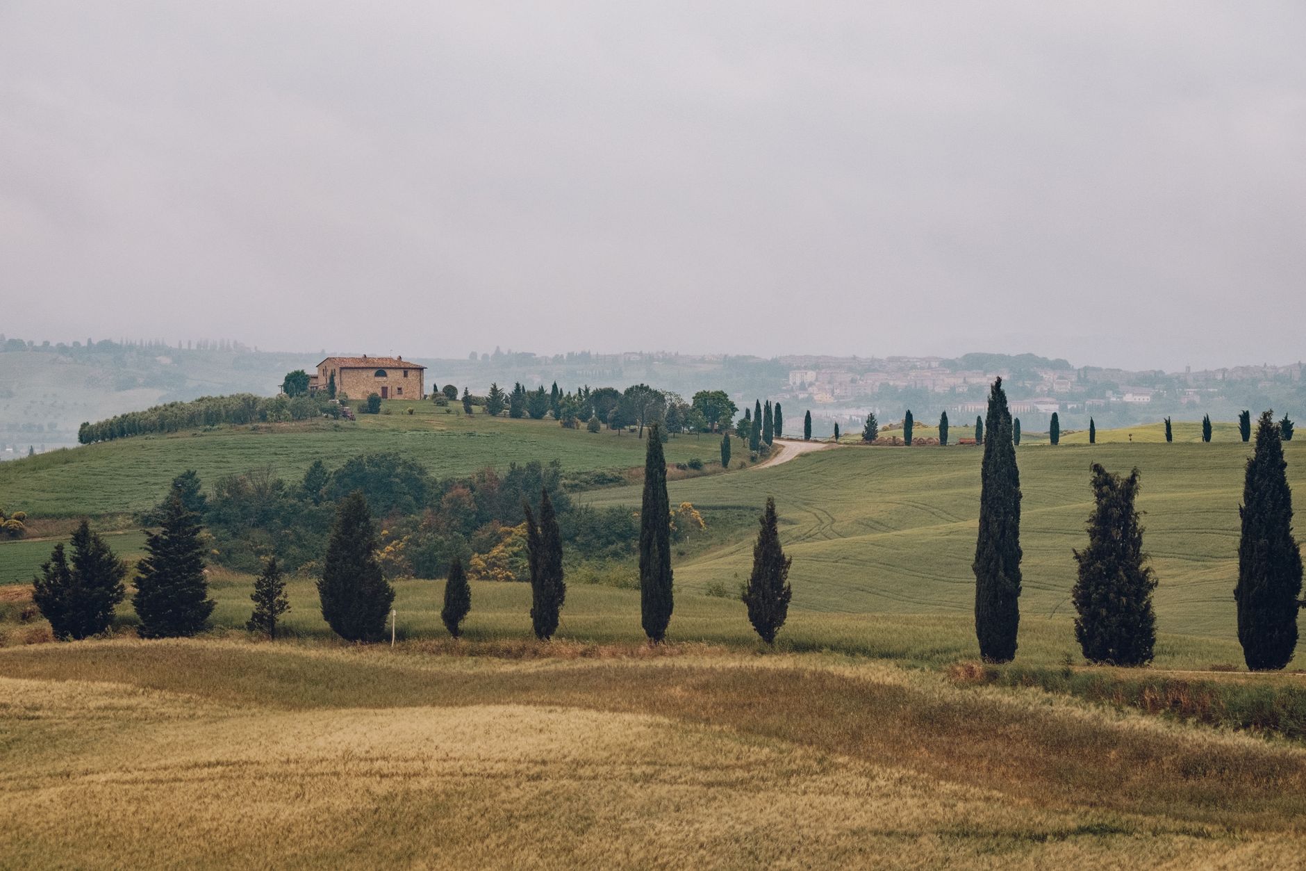 Tuscan vineyard landscape